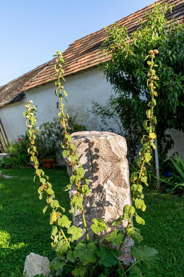 Weissenbacherhof Oslip Exteriér fotografie